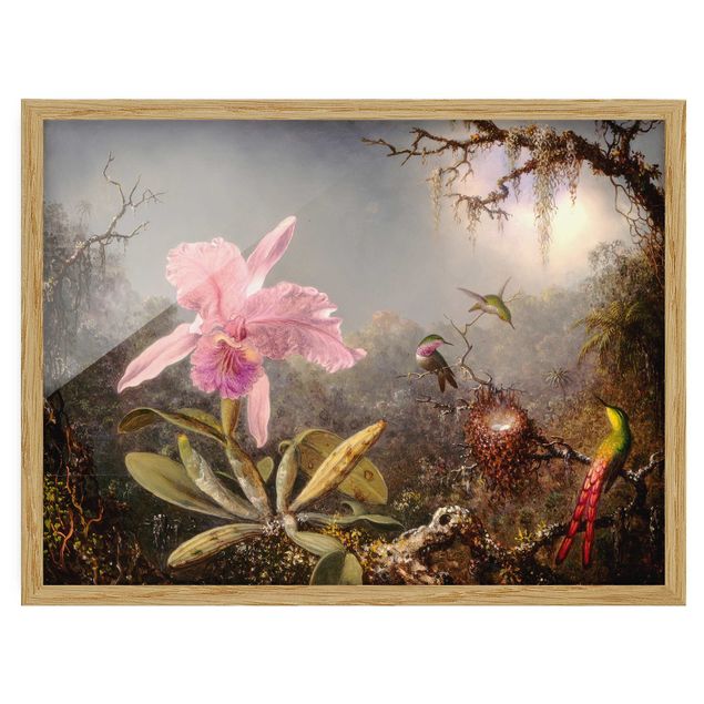 Poster con cornice - Martin Johnson Heade - orchidea e Tre colibrì - Orizzontale 3:4