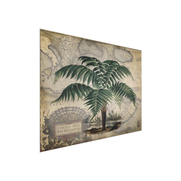 Quadro in vetro - Vintage Collage - Palm e mappa del mondo - Orizzontale 3:4