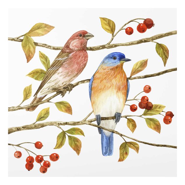 Quadro in vetro - Birds And Berries - Bluebird - Quadrato 1:1