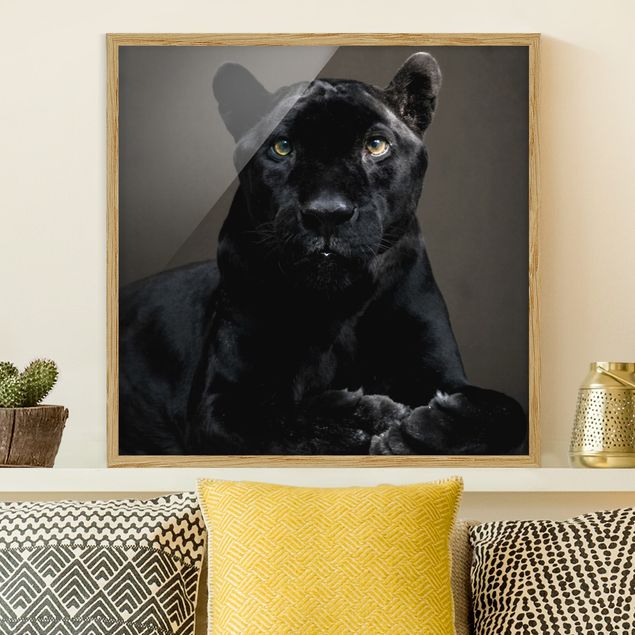 Quadri animali Puma nero