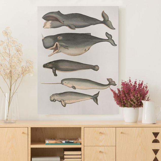 Quadri con pesci Cinque balene vintage