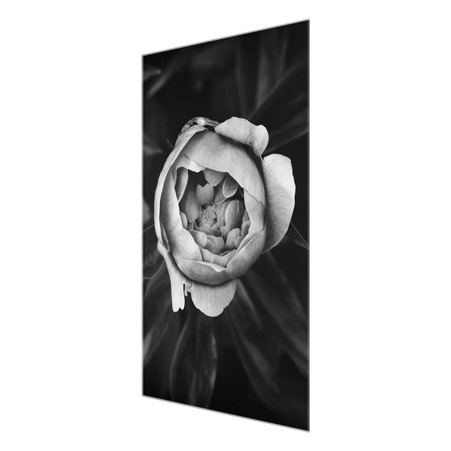 Quadro in vetro - Peony fiore bianco frontale nero Foglie - Verticale 3:2