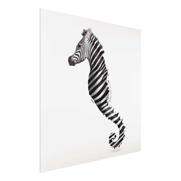 Quadro in vetro - Seahorse Con Zebra Stripes - Quadrato 1:1