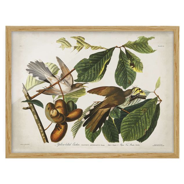 Poster con cornice - Vintage Consiglio Cuckoo II - Orizzontale 3:4
