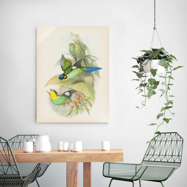 Quadro in vetro - Illustrazione Vintage Uccelli tropicali - Verticale 4:3