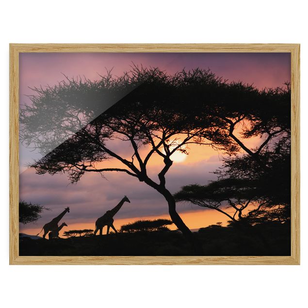 Poster con cornice - African Safari - Orizzontale 3:4