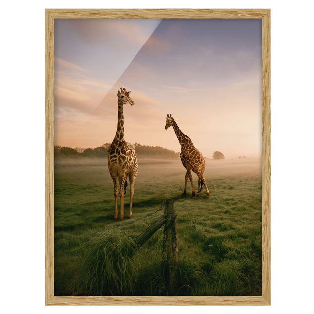 Poster con cornice - Surreal Giraffes - Verticale 4:3