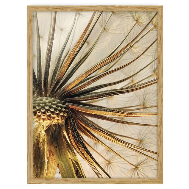 Poster con cornice - Dandelion Close Up - Verticale 4:3