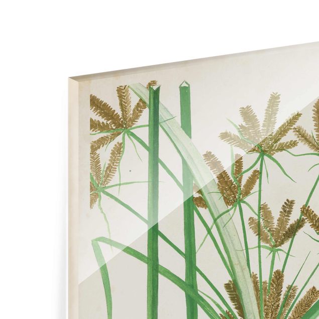 Quadro in vetro - Vintage Botanica Disegno Erbe I - Verticale 3:2