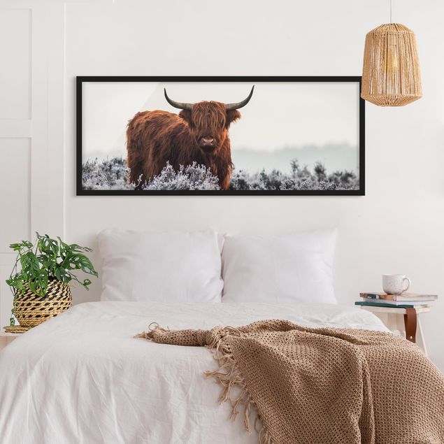 Poster con cornice - Bisonte Nelle Highlands - Panorama formato orizzontale