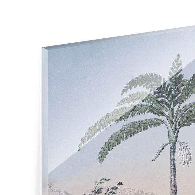 Quadro in vetro - Vintage Illustrazione - Paesaggio Con La Palma - Verticale 3:2