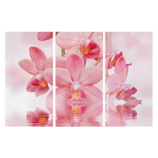 Stampa su tela 3 parti - Pink Orchids On Water - Verticale 2:1