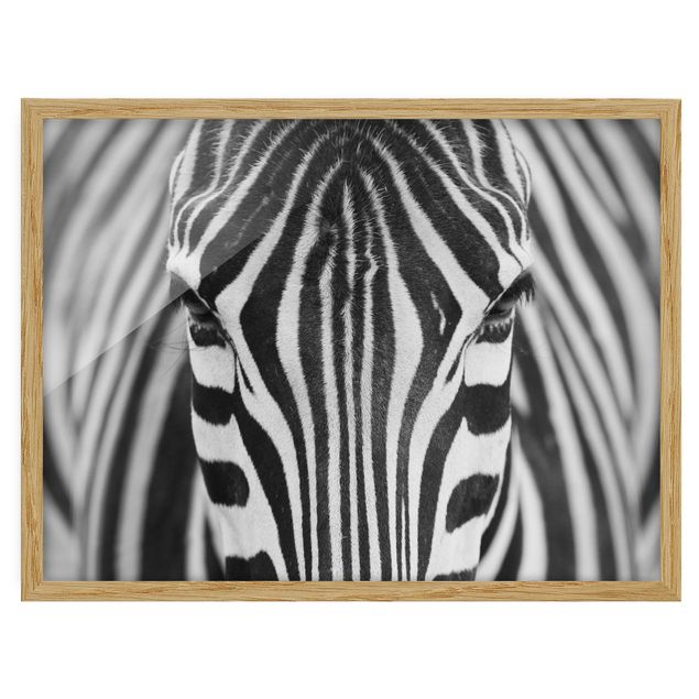 Poster con cornice - Zebra Look - Orizzontale 3:4