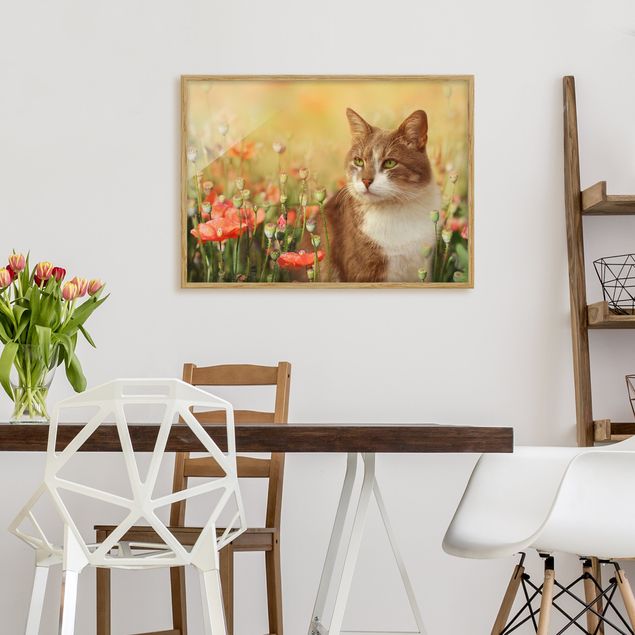 Poster con cornice - Cat In A Field Of Poppies - Orizzontale 3:4