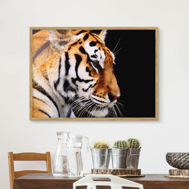 quadri con animali Bellezza della tigre