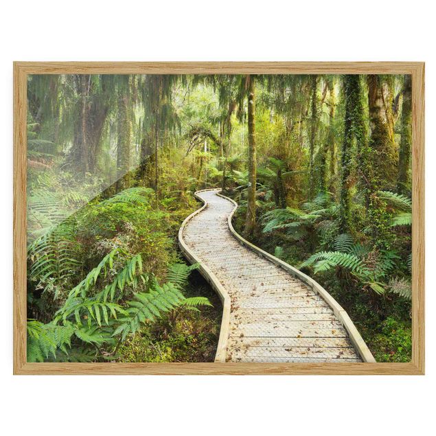 Poster con cornice - Path In The Jungle - Orizzontale 3:4