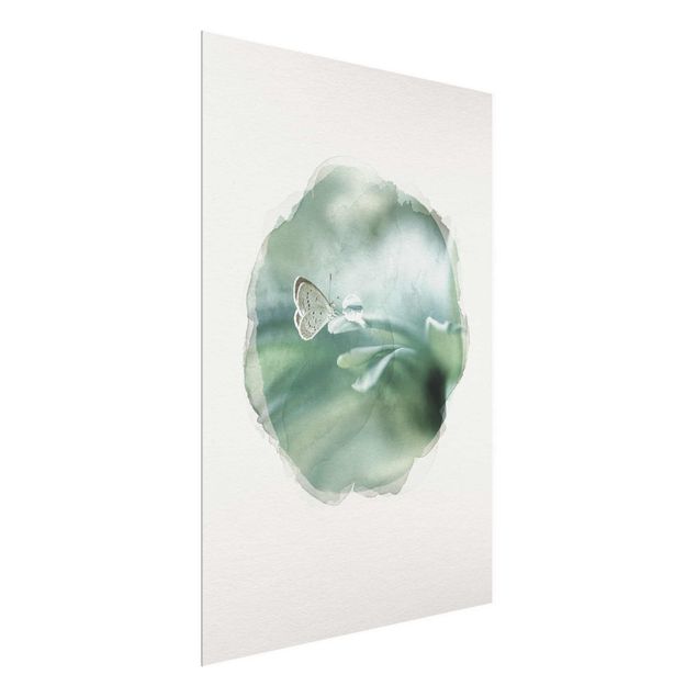Quadro in vetro - Acquerelli - Farfalla E gocce di rugiada In Pastel Verde - Verticale 4:3