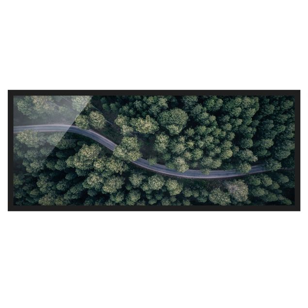 Poster con cornice - Veduta aerea - Forest Road From The Top - Panorama formato orizzontale