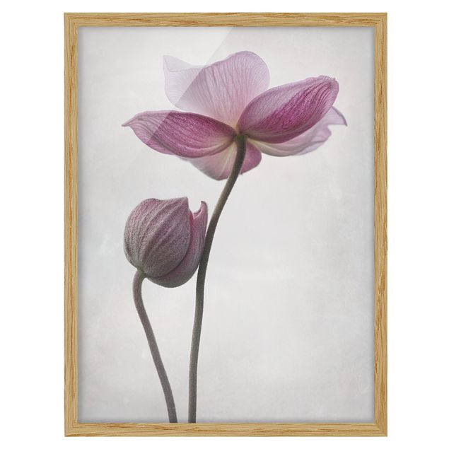 Poster con cornice - Anemones In Pink - Verticale 4:3