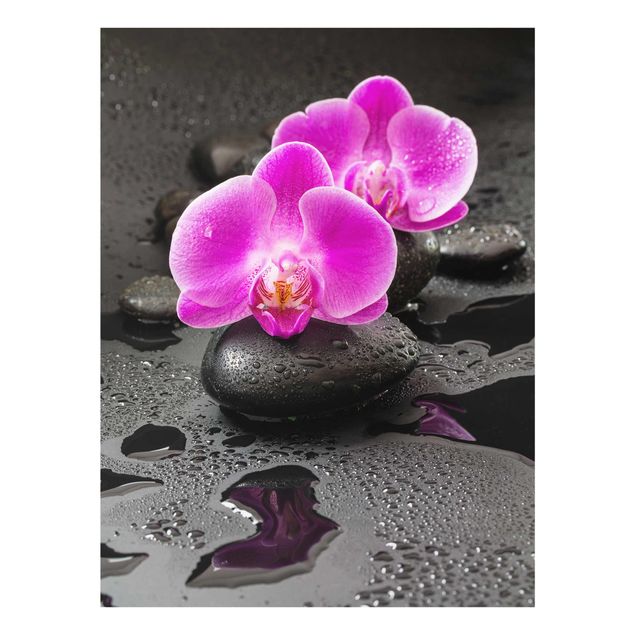 Quadro in vetro - Pink Orchid Fiori Sulle Pietre Con Le Gocce - Verticale 4:3