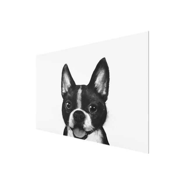 Quadro in vetro - Illustrazione Dog Boston Monochrome Pittura - Orizzontale 2:3