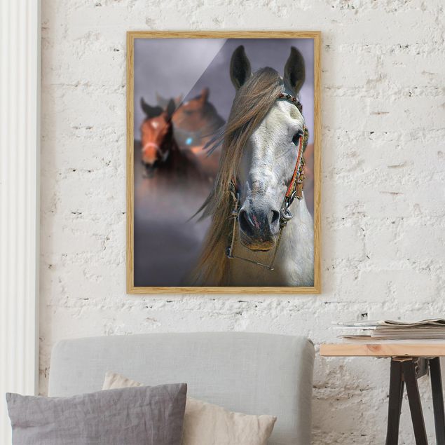 quadri con animali Cavalli nella polvere
