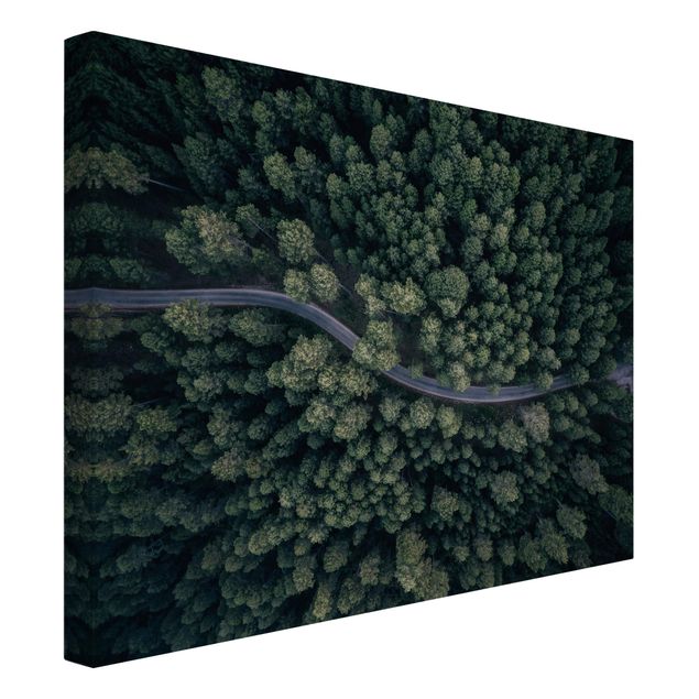 Quadri su tela Vista aerea - Strada forestale dall'alto