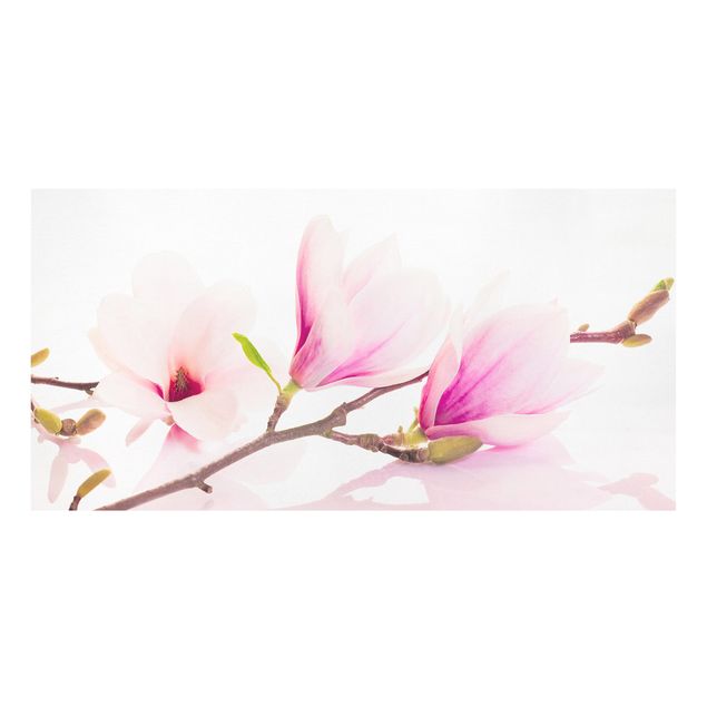 Stampa su tela - Delicate magnolia branch - Orizzontale 2:1