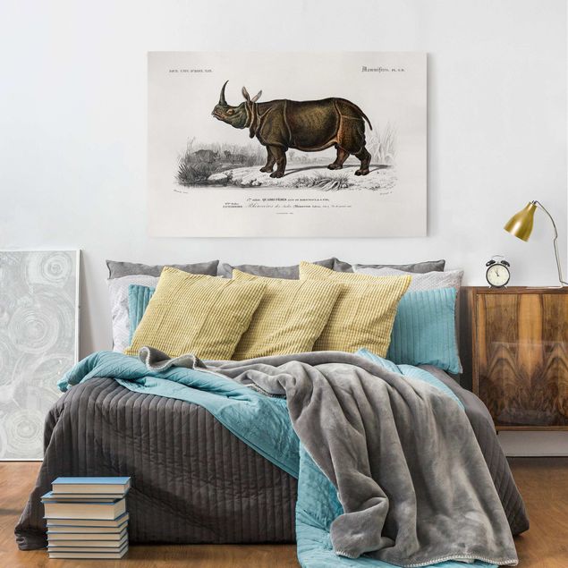 Stampe su tela paesaggio Bacheca Vintage Rinoceronte