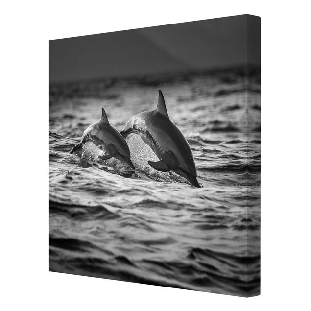 Stampe su tela Due delfini che saltano