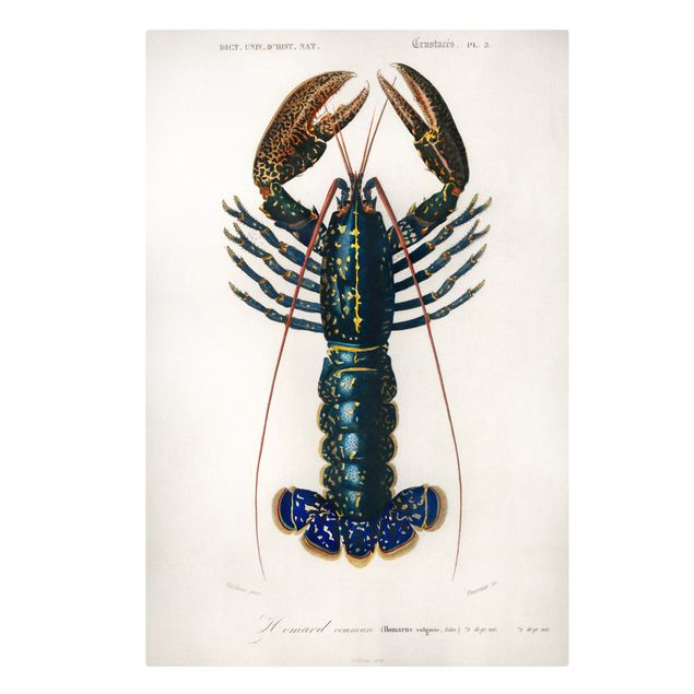 Stampa su tela - Vintage Blue Board Lobster - Verticale 3:2