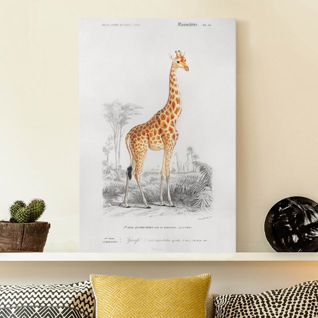 Quadri con giraffe Bacheca vintage Giraffa