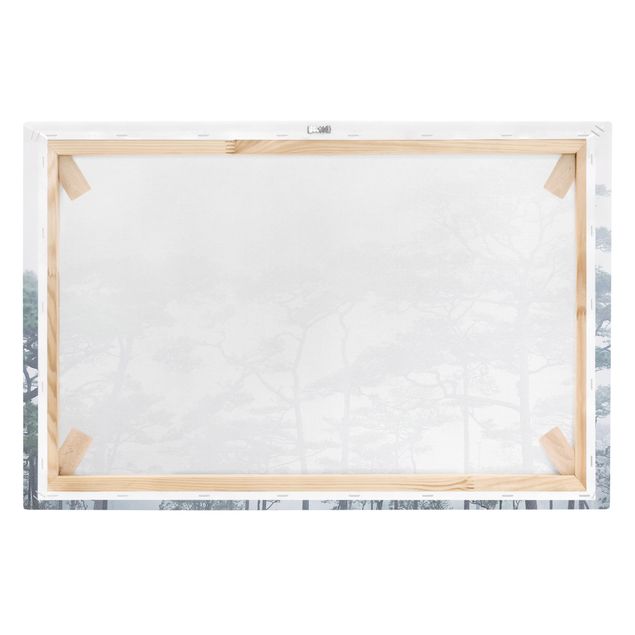 Stampa su tela - Cime degli alberi nella nebbia - Orizzontale 3:2
