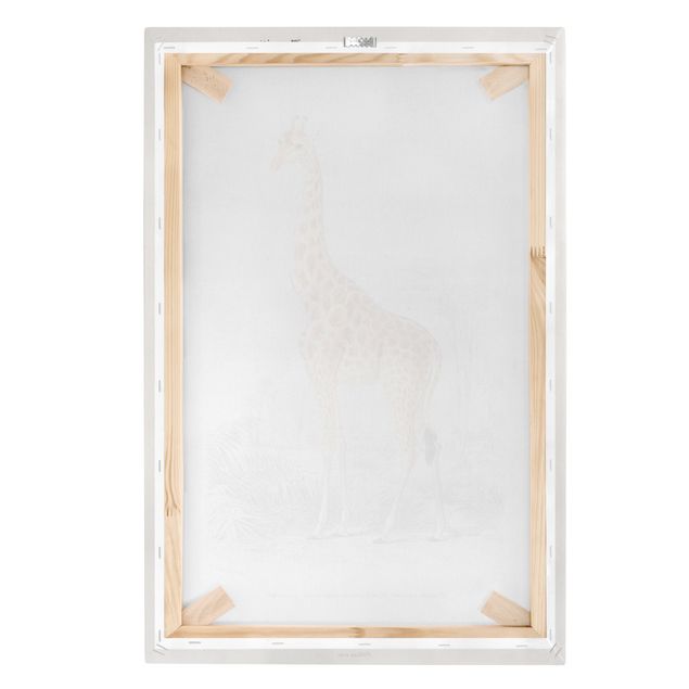 Stampa su tela - Vintage Consiglio Giraffe - Verticale 3:2