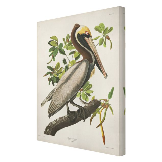 Stampa su tela - Vintage Consiglio Brown Pelican - Verticale 3:2