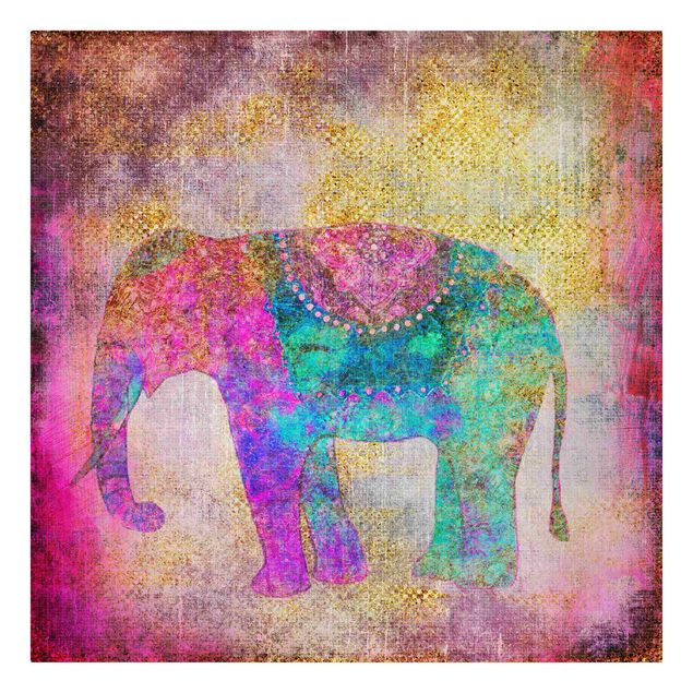 Quadri moderni per soggiorno Collage colorato - Elefante indiano
