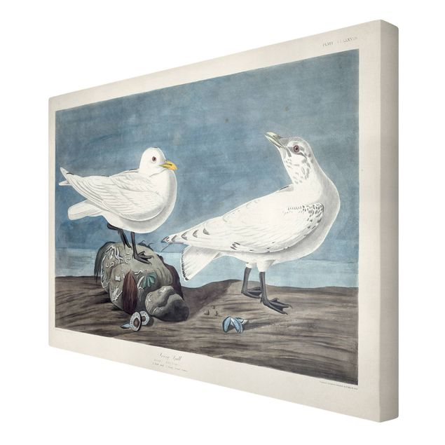 Stampa su tela - Vintage Consiglio Ivory Gull - Orizzontale 2:3