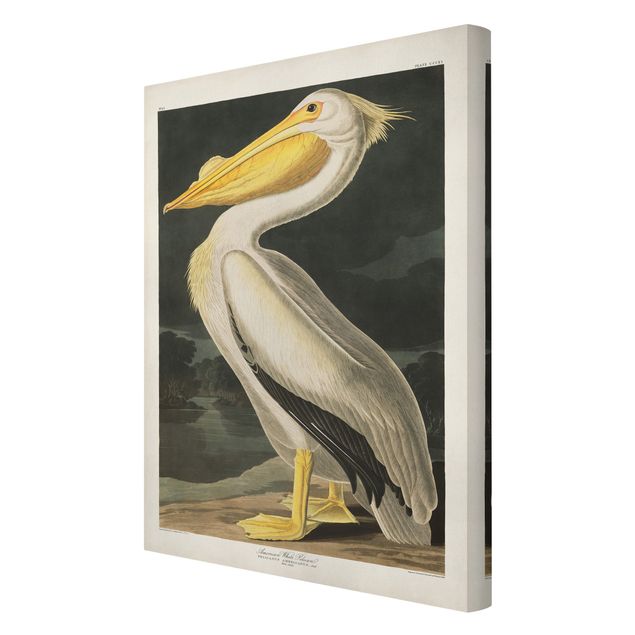 Stampa su tela - Pelican White Board Vintage - Verticale 3:2