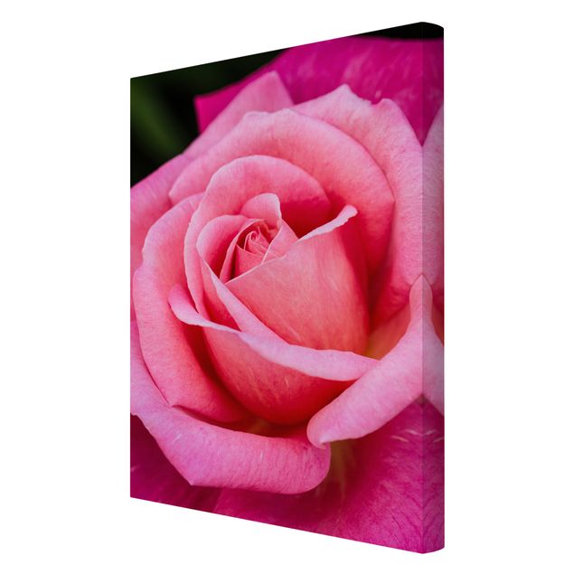 Stampa su tela - Pink Rose Bloom di fronte al verde - Verticale 3:2