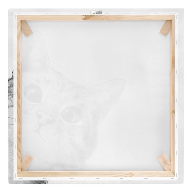 Quadri su tela - Illustrazione Cat Disegno NeroBianco
