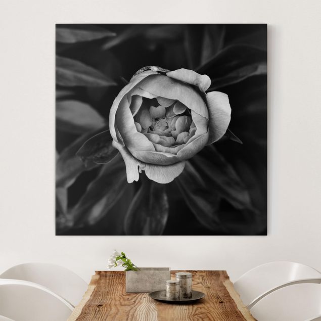 Tela rose Fiore di peonia bianco Foglie anteriori nere