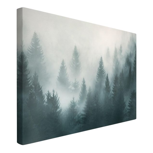 Stampe su tela Foresta di conifere nella nebbia