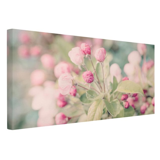 Stampe su tela Bokeh di fiori di melo rosa chiaro