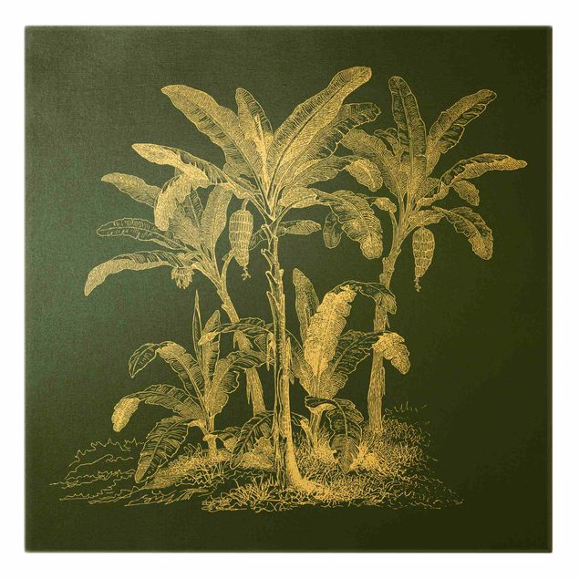 Quadri su tela Illustrazione Alberi di banane su verde
