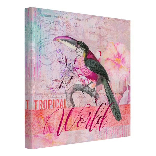 Tele con scritte Collage vintage - Tucano del mondo tropicale