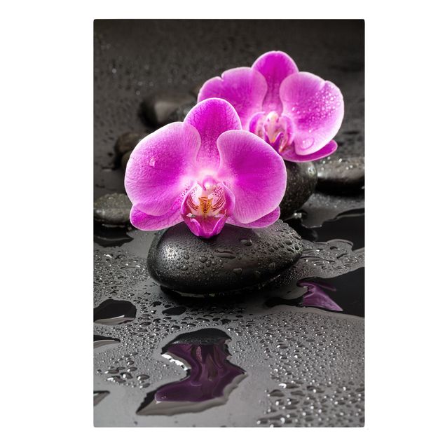 Quadri su tela Fiore di orchidea rosa su pietra con gocce