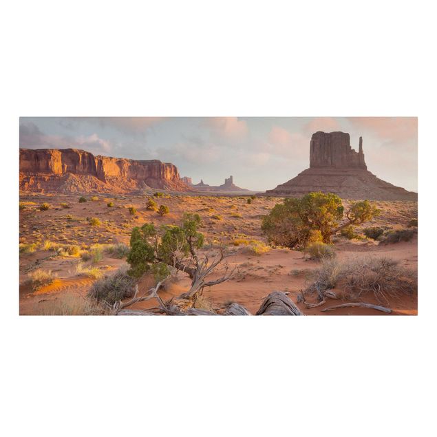 Stampa su tela - Monument Valley Navajo Tribal Park Arizona - Orizzontale 2:1