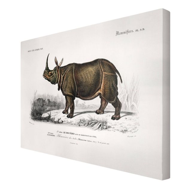 Stampa su tela Bacheca Vintage Rinoceronte