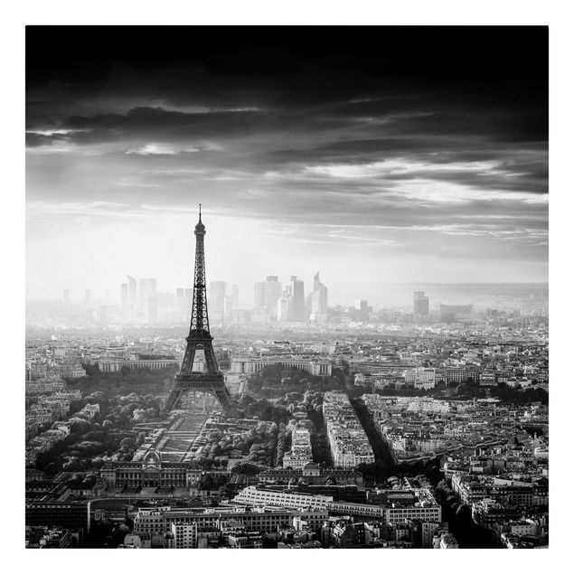 Stampe su tela La Torre Eiffel dall'alto in bianco e nero