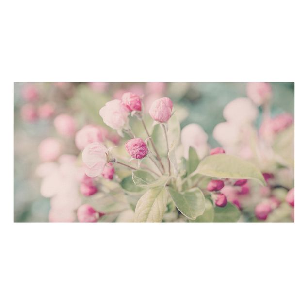 Stampa su tela - Apple Blossom rosa bokeh - Orizzontale 1:2
